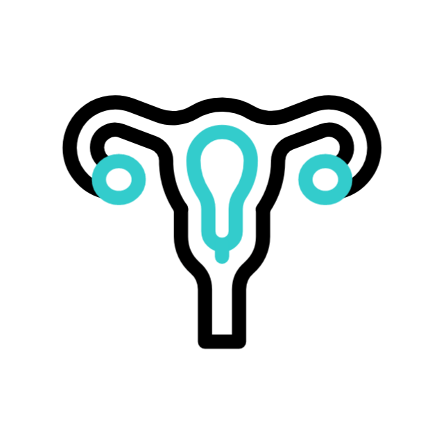 uterus 17858178